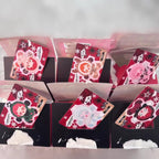 Skullpanda Winter Symphony Series Whole Set Open Box Sealed Bag